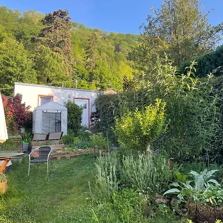 Blick Ins Gruene, Nah Am Zentrum Lägenhet Trier
