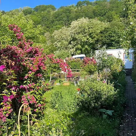 Blick Ins Gruene, Nah Am Zentrum Lägenhet Trier