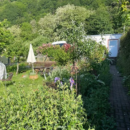 公寓 Blick Ins Gruene, Nah Am Zentrum *
