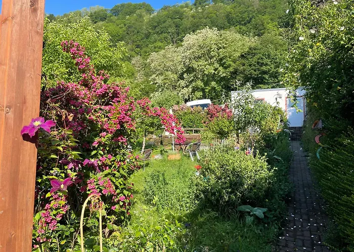 Blick Ins Gruene, Nah Am Zentrum Lägenhet Trier